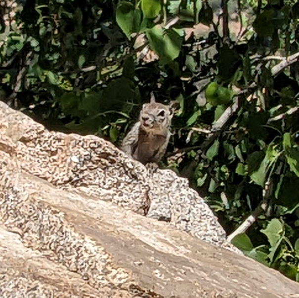 They&rsquo;re always watching&hellip;